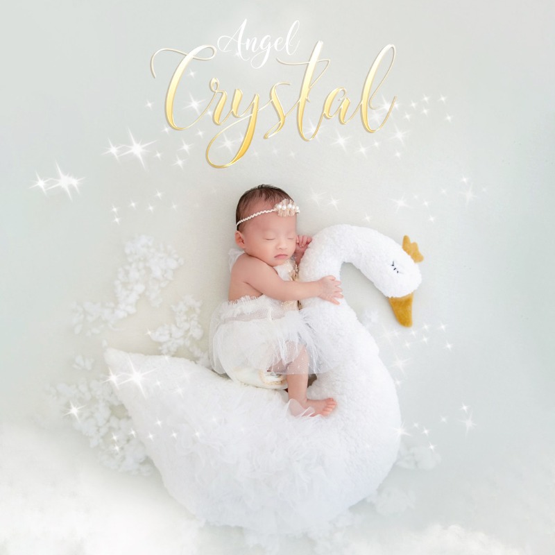 신생아 사진 촬영 소품 백조 레이스 의상 세트 아기 사 - Baby Clothing Products 리뷰 및 가격
